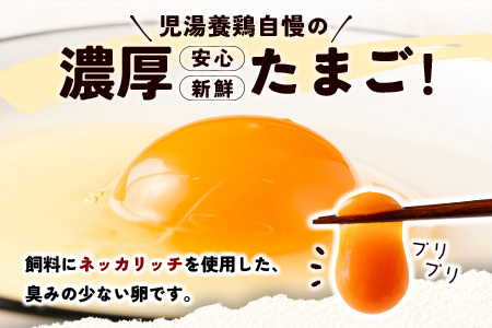 8月開始 児湯養鶏自慢の卵 ネッカリッチ赤たまご「児湯一番」 計480個 （20個入×2箱）×12か月定期便【E19-2608】