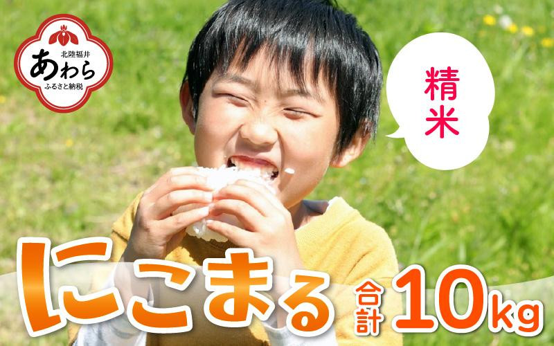 
【先行予約】【令和6年産 新米】にこまる 精米 10kg（5kg×2袋） ＜食味値85点以上！低農薬栽培＞ ／ 高品質 鮮度抜群 福井県あわら市産 ブランド米 白米《出荷直前精米でお届け！》 ※2024年10月中旬以降発送予定
