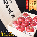 【ふるさと納税】先行予約りんご「サンふじ」 特秀品 3.2kg - 5kg 桐箱入 山形産 【2025年12月上旬頃〜中旬頃発送予定】 ／ 果物 フルーツ 林檎 アップル 果実 お取り寄せ ご当地 特産 産地 直送 贈答 ギフト 果汁 東北 山形県 2025年産 令和7年産 apple fruits