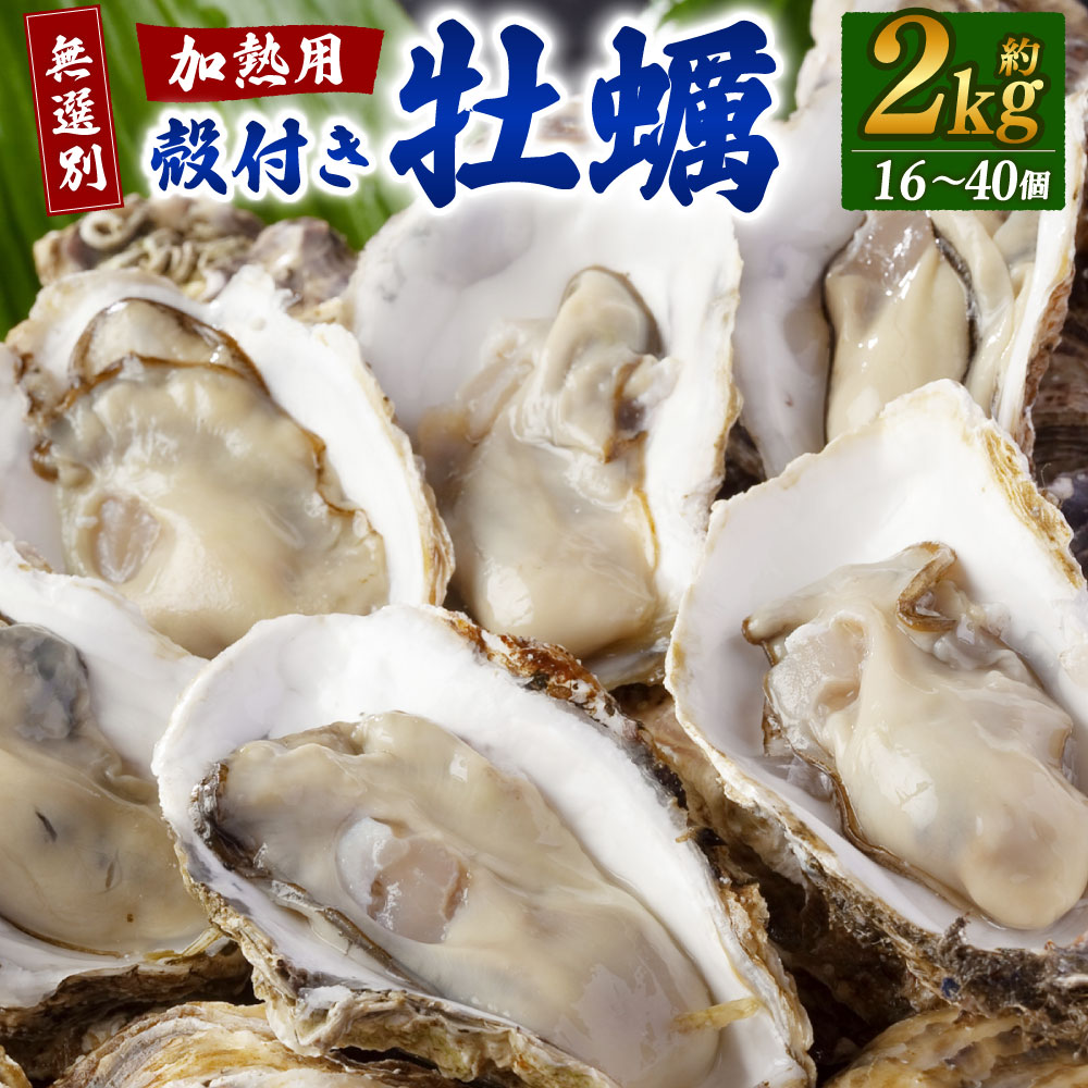 【ふるさと納税】【無選別】加熱用 殻付き牡蠣 約2kg （16～40個）【2026年1月下旬-2026年3月下旬発送】 | 牡蠣 かき カキ 殻付き 加熱用 調理用 焼き牡蠣 蒸し牡蠣 牡蠣鍋 カキフライ 牡蠣の酒蒸し 魚介 海鮮 BBQ バーベキュー 国産 冷蔵 大阪府 阪南市 送料無料