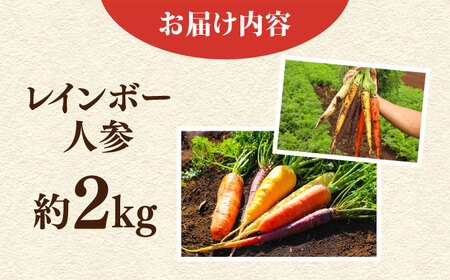 【先行予約】【数量限定】レインボー　人参セット　約2kg（10月〜6月）【鈴也ファーム】[AKCE014]