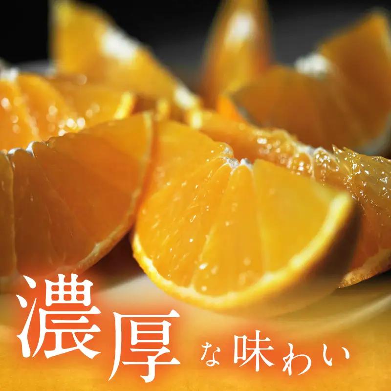 【先行予約】マルハ果樹園 プレミアムまどんな 12~15玉 化粧箱入