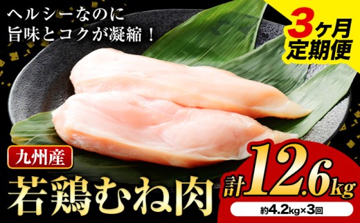 【3ヶ月定期便】九州産若鶏ムネ肉 600g×7袋×3回 計12.6kg 鶏肉 お肉 ムネ肉 むね肉 小分け 冷凍 九州産 国産 熊本県 菊池市 送料無料《お申し込みの翌月から出荷》