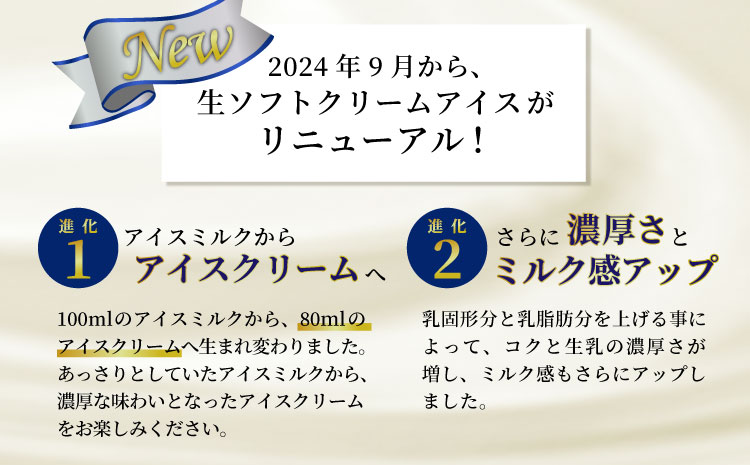 ふわっと軽い！ 生ソフトクリームアイス & ブルーベリーアイス　8個セット　アイスクリーム　ブルーベリー　スイーツ　デザート