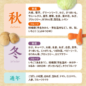 【定期便／年12回／毎月お届け】むなかた旬のお任せセット(野菜・フルーツ・お米／9～11品)【ほたるの里】_PB0029