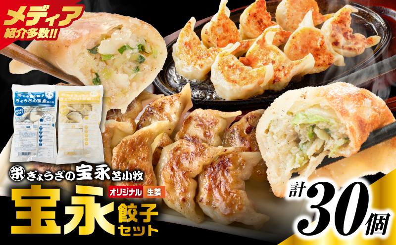 手包み餃子 ぎょうざの宝永 生姜餃子30個セット（宝永餃子15個入×1袋・生姜餃子15個入×1袋）　T004-005-01