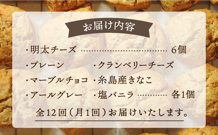 【全12回定期便】【 ご自宅用 】 定番 スコーン + 明太 チーズ スコーン 計 12個 セット 糸島市 / スコーン専門店キナフク [AFA026]