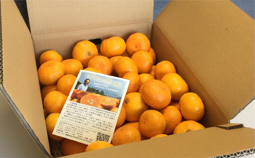 【先行予約】【家庭用】温州みかん 5kg ※離島への配送不可 （2025年11月10日より順次発送） IKTA039