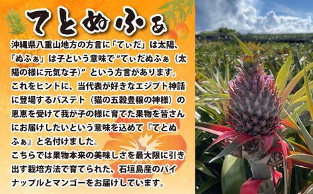 《年6回発送》島のおいしいを贅沢に！大満足のパイナップル4種とマンゴー、マイヤーレモンの定期便