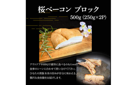 【地元ブランド黒豚使用】桜ベーコン 3種詰め合わせセット （合計920g） 豚肉 豚 ベーコン 桜ベーコン 黒豚 ベーコン詰め合わせ ベーコンブロック ベーコンスライス ベーコン短冊
