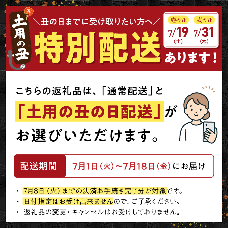 老舗のうなぎ　【特選上長焼】２尾セット（秘伝のタレ・山椒付）[081N04]_イメージ5