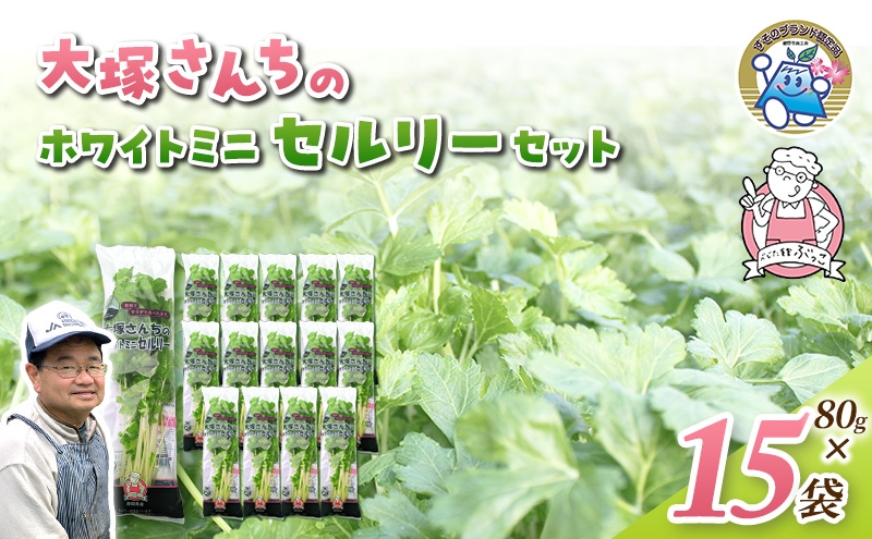 
                  ホワイトミニセルリー 15袋入り 野菜 詰め合わせ セルリー セロリ ミニセロリ 新鮮 産地直送 大容量 業務用 まとめ買い 野菜セット ギフト 詰合せ 常備野菜 [№5812-0240]
                