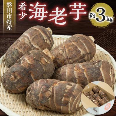ふるさと納税 磐田市 磐田特産海老芋　約3kg
