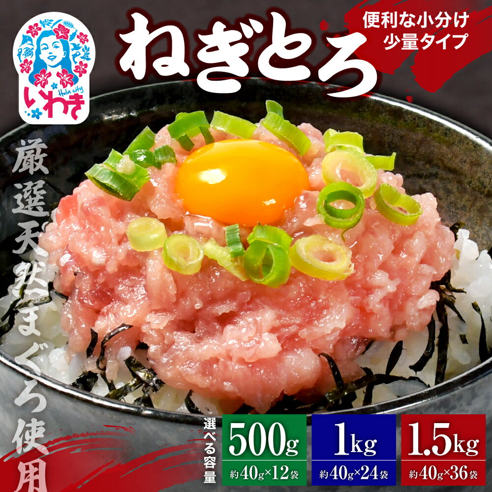 【ふるさと納税】ネギトロ 小分け まぐろネギトロ 500g12P / 1kg24P (約40g) まぐろ まぐろたたき ねぎとろ マグロ パーティー コスパ 年内発送 天然まぐろ 使い切りパック 海鮮丼 お寿司 軍艦巻き 福島県 いわき市 1万円 父の日