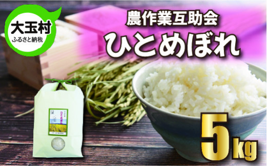 【 令和5年産 米 】【 農業生産法人 農作業互助会 の お米 】 ひとめぼれ　５ｋｇ【06412】 福島県 大玉村 ヒトメボレ 米