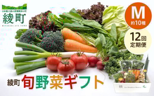 【12回定期便】綾町旬野菜ギフト〈 Mサイズ/約10種 〉2～3人分 産地直送 野菜セット 詰め合わせ 新鮮 有機栽培 旬 採れたて 野菜定期便 野菜 人参 トマト じゃがいも 玉ねぎ きゅうり さつまいも 芋 ねぎ 小松菜 大根 ほうれん草 キャベツ キノコ等 送料無料 【オーガニックのまち 宮崎県綾町】