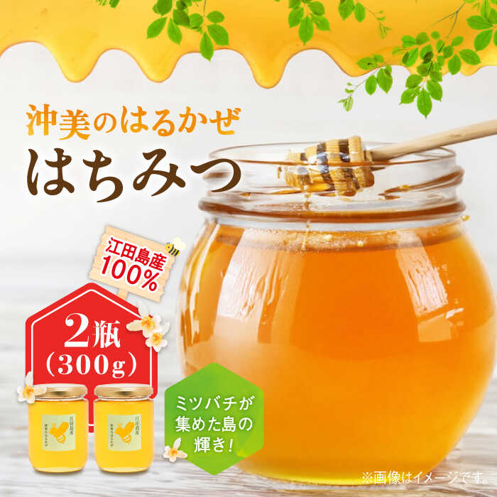 【ふるさと納税】江田島産100％ はちみつ 沖美のはるかぜ300g×2本 ハチミツ 蜂蜜 国産 広島 江田島市/はつはな果蜂園 [XCD006] ハチミツ 国産蜂蜜 国産はちみつ 純粋はちみつ 人気 常温 保存 備蓄 防災食 非常食 保存食 産地直送