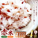 【ふるさと納税】赤米 4袋 セット （ 1合 ×4袋）【 無農薬 無肥料 自然栽培 天日干し 】 | ののま自然農園 米 こめ お米 おこめ あかまい 古代米 雑穀 千葉県 君津市