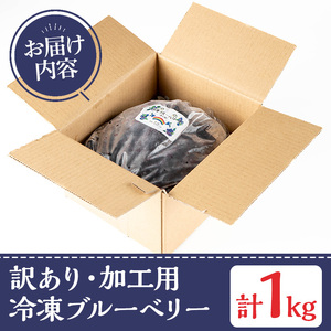 y528 《訳あり・加工用》冷凍ブルーベリー(1kg) 冷凍 国産 九州産 鹿児島県産 くだもの 果物 フルーツ シャーベット ジャム フローズン ベリー おやつ デザート 【体験型観光農園さつまドリ