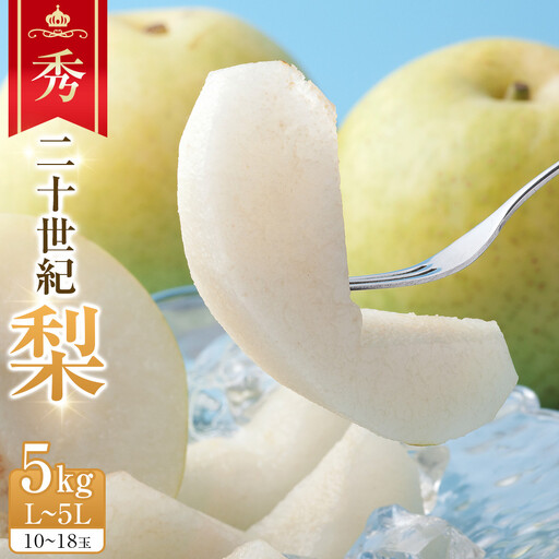 【先行予約】二十世紀梨　秀5kg　L～5L　10～18玉前後◇　※2026年8月下旬～9月下旬頃に順次発送予定