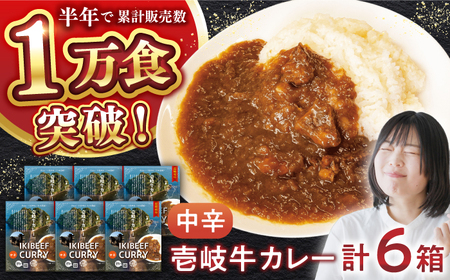 壱岐牛カレー中辛づくし《壱岐市》【アットマーク】常温配送 カレー ご当地カレー レトルト 簡単調理[JDW041]