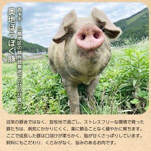 ＜【こだわりの無塩せき】奥地ほうぼく豚を使ったウインナー 2種食べ比べセット 計4袋＞ぶた お肉 加工品 おつまみ おかず チーズフランク ソーセージ 粗びき 粗挽き BBQ アウトドア キャンプ 愛