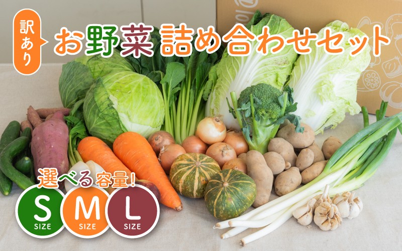 
                  ＜ロスヘル＞多数のメディアで紹介されました！【訳あり】旬のもったいないお野菜詰め合わせセット[B-16402] / 訳あり 訳アリ ロスヘル 野菜 規格外野菜 冬野菜 やさい サラダ フードロス 果物 くだもの フルーツ 福井県鯖江市
                
