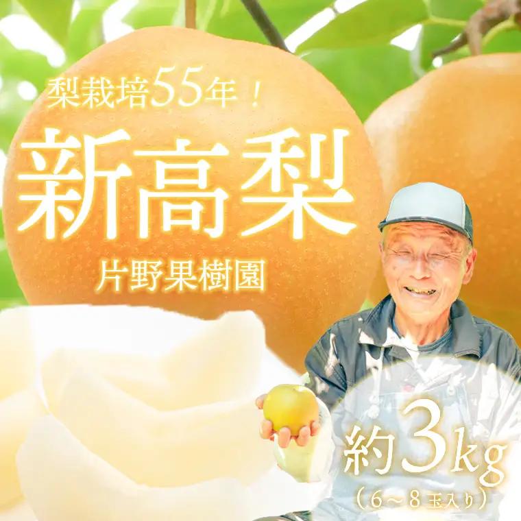 新高梨 約3kg 09月下旬発送  梨 先行受付