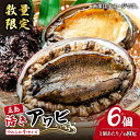 【ふるさと納税】【日付指定必須】【エリア限定】【数量限定】五島産養殖活アワビ6個 小サイズ あわび 鮑 五島市/都工業 [PEX002]