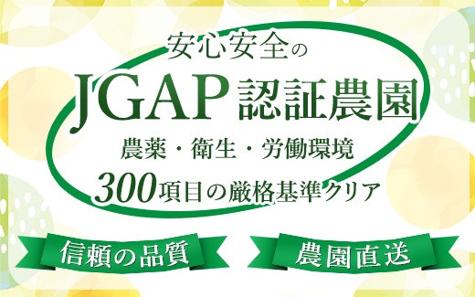【まごころ手選別】【3ヶ月定期便】有田みかん 秀品 約3kg（S～Lサイズ混合）※2025年11月上旬頃から1カ月に1回（計3回）発送