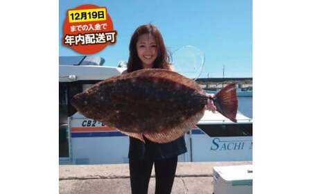 釣り船 幸丸 午前乗船券 3枚（ヒラメ釣り体験 1名様）【ヒラメ 乗船券 つり船】