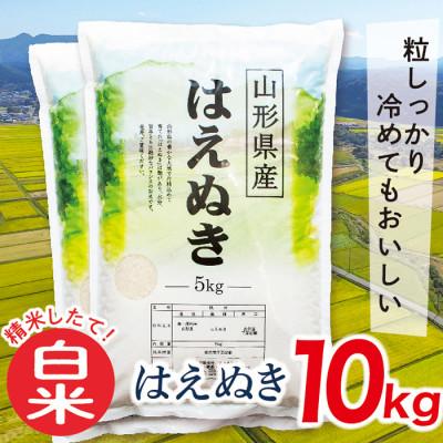 ふるさと納税 最上町 【白米】令和7年産山形県産はえぬき10kg