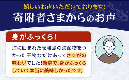 【全2回定期便】旬の海産物セットＡ《壱岐市》【朝市　マルミ海産物】サンマ  丸干し アジ みりん干し  魚[JCY022]