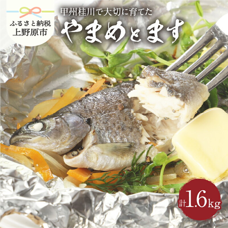 【ふるさと納税】 魚 川魚 やまめ ます セット ギフト 和食 鮮魚 清流 塩焼き 甘露煮 セット 桂川 詰め合わせ 贈答 贈り物 送料無料 ※沖縄県、離島不可 山梨県 上野原市