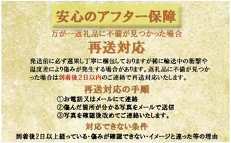 【2024年発送分】岡山県産 シャインマスカット晴王 ２kg