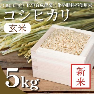 ふるさと納税 小松島市 【令和7年産新米先行受付】玄米 5kg コシヒカリ 新米 令和7年産 米 こめ ご飯 ごはん
