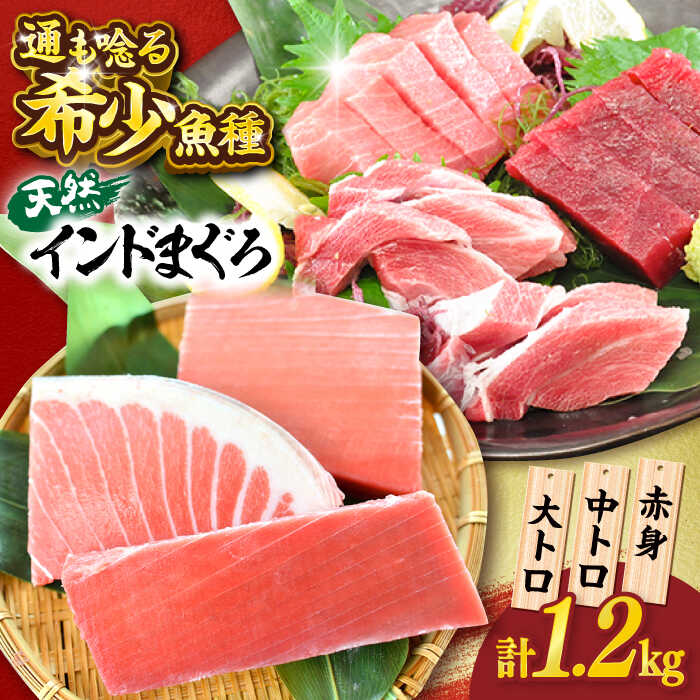 【ふるさと納税】天然 まぐろ 大トロ・中トロ・赤身 約200g×6柵 約1200g【横須賀商工会議所 おもてなしギフト事務局（本まぐろ直売所 横須賀本店）】天然まぐろ まぐろ マグロ 鮪 大とろ 中とろ とろ トロ 赤身 柵 希少 約1.2kg[AKAK021]