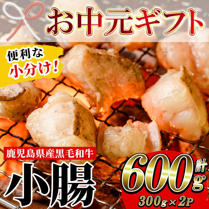 【ふるさと納税】＜2026年お中元ギフト＞鹿児島県産黒毛和牛 小腸(300g×2P・計600g) しょうちょう ホルモン もつ鍋 焼肉 鍋 焼肉用 焼き肉 バーベキュー 冷凍 牛肉 肉 もつ モツ 内臓 国産牛 モツ鍋 もつなべ 小分け 九州 国産 贈答品 ギフト【バクロ】