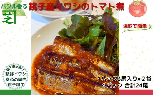 イワシ トマト煮 食べてみて！ バジル 香る 銚子産 イワシ の トマト煮 新鮮 銚子 いわし イワシ 鰯 青魚 トマト煮 パスタ トマト トマトソース バジル 湯煎 簡単 調理 アウトドア ふるさと納税 ふるさと納税魚 送料無料 10000 10000円 千葉県 銚子市 シバショウ