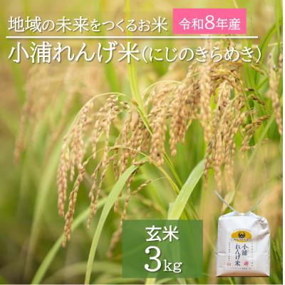 ふるさと納税 日高町 令和8年産(2026年産)新米!小浦れんげ米(にじのきらめき)【玄米】3kg