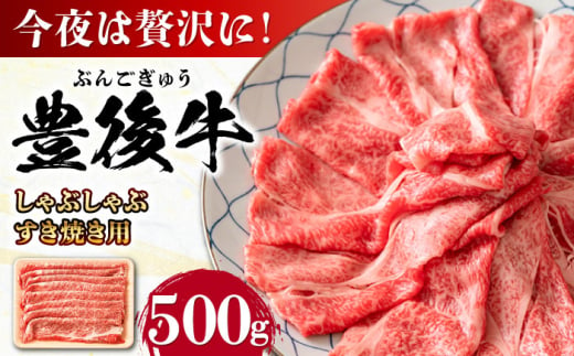 おおいた豊後牛 しゃぶしゃぶすき焼き用（肩ロース・肩バラ・モモ）500g 日田市 / 株式会社MEAT PLUS　 牛 和牛 [AREI010]