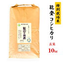 【ふるさと納税】米 玄米/能登のコシヒカリ　飯川のお米　10kg（玄米10kg×1袋）特別栽培米※2024年10月中旬～2025年3月下旬頃に順次発送予定 石川県 七尾市