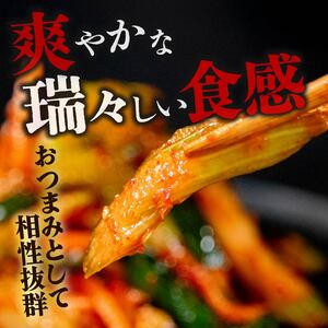 【 旨辛 】 セロリキムチ 900g セロリ キムチ