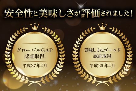 無塩･無添加トマトジュース｢奥出雲美人｣12本【トマトジュース 無添加 無塩 国産 砂糖不使用 720ml 12本 セット 100%ジュース 野菜ジュース 飲料 料理 健康 美容 安心 安全 リコピン