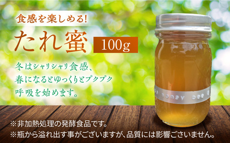 超希少【天然】日本蜜蜂の生はちみつ たれ蜜・花粉蜜 計200g ハニーディッパー付き　【食べチョクアワード2023 3位入賞】　 日田市/総合環境計画研究所 the honey shop[ARBN00