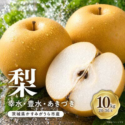 【ふるさと納税】【8月上旬より順次発送予定】茨城県かすみがうら市産梨　品種おまかせ 約10kg【配送不可地域：離島・北海道・沖縄県・中国・四国・九州】【1759351】