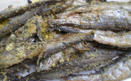 A-33001【12/17まで年内配送】 無化調炙りししゃも8袋セット