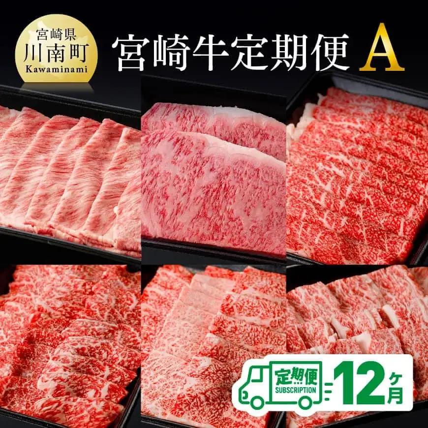 牛肉 【定期便】宮崎牛12ヶ月定期便A【 黒毛和牛 ミヤチク 牛肉 】