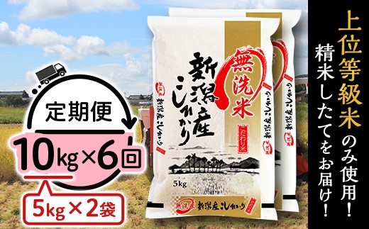 31-M106【無洗米】新潟県産コシヒカリ10kg（5kg×2袋）【6ヶ月連続お届け】