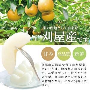 SA2565　酒田の果物専門店厳選　刈屋産 和梨　約2kg(6玉入)　品種おまかせ(幸水、豊水、あきづき)